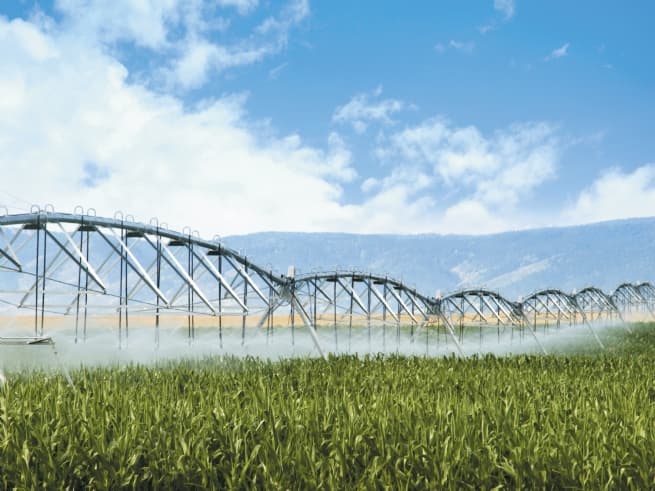 Enhancing Sustainable Agriculture through Sci-Tech Investment