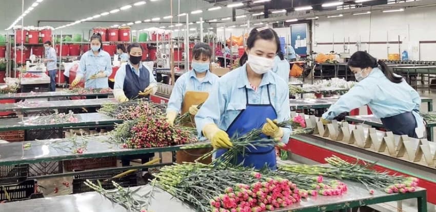 Incentives for the Central Highlands to strongly develop