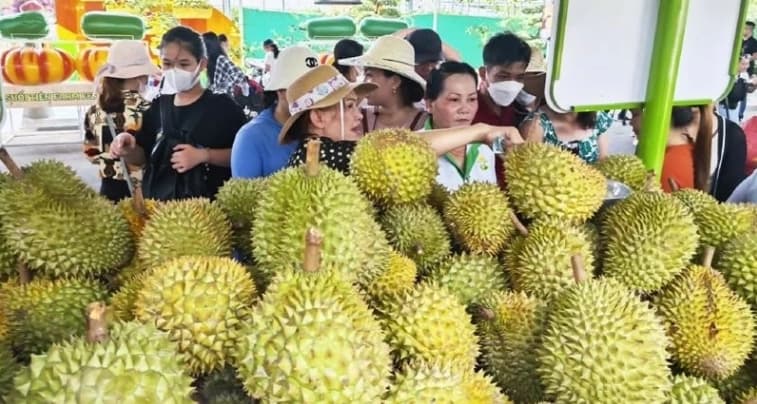 Second durian festival to honour growers, promote sustainable development