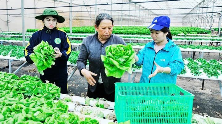 Additional support for development of agricultural economics