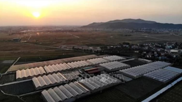 Bac Giang expects to have 60 cooperatives applying hi-tech