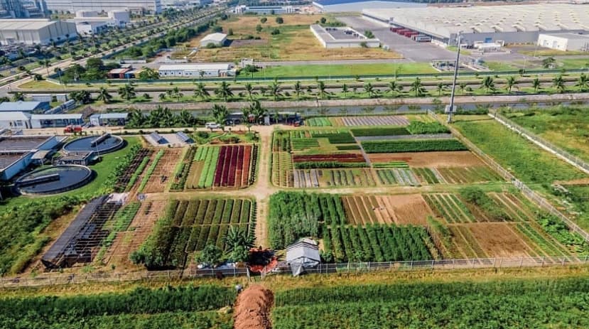 The trend of building large-scale ecological industrial zones at DEEP C