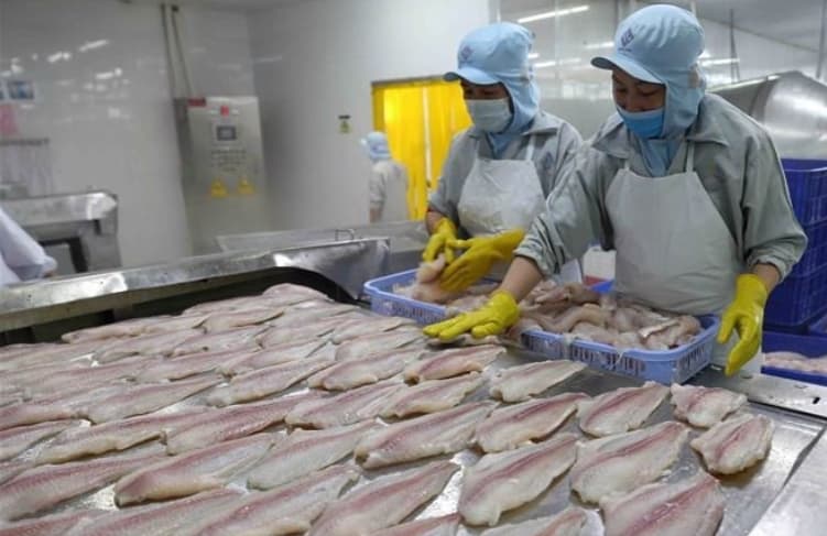Vietnam becomes second largest supplier of white fish to US