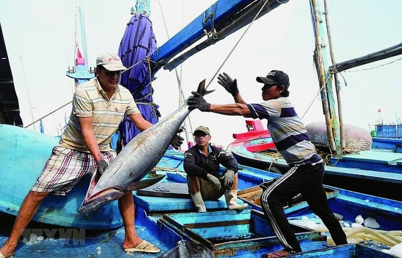 Seafood businesses face difficulties with S/C to export to Europe