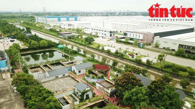 Eco-industrial parks vital to achieving net zero emission target by 2050