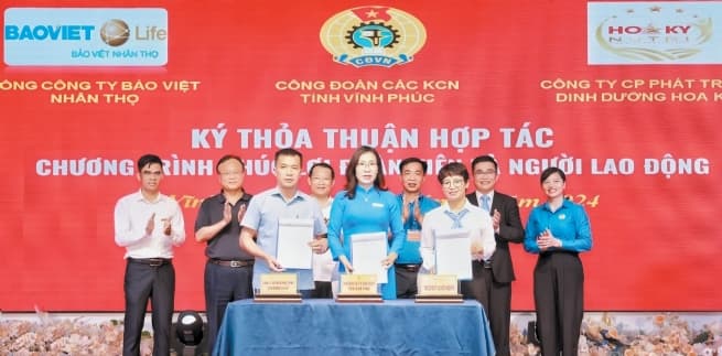 Vinh Phuc Forms 22 New Grassroots Trade Unions in Industrial Parks