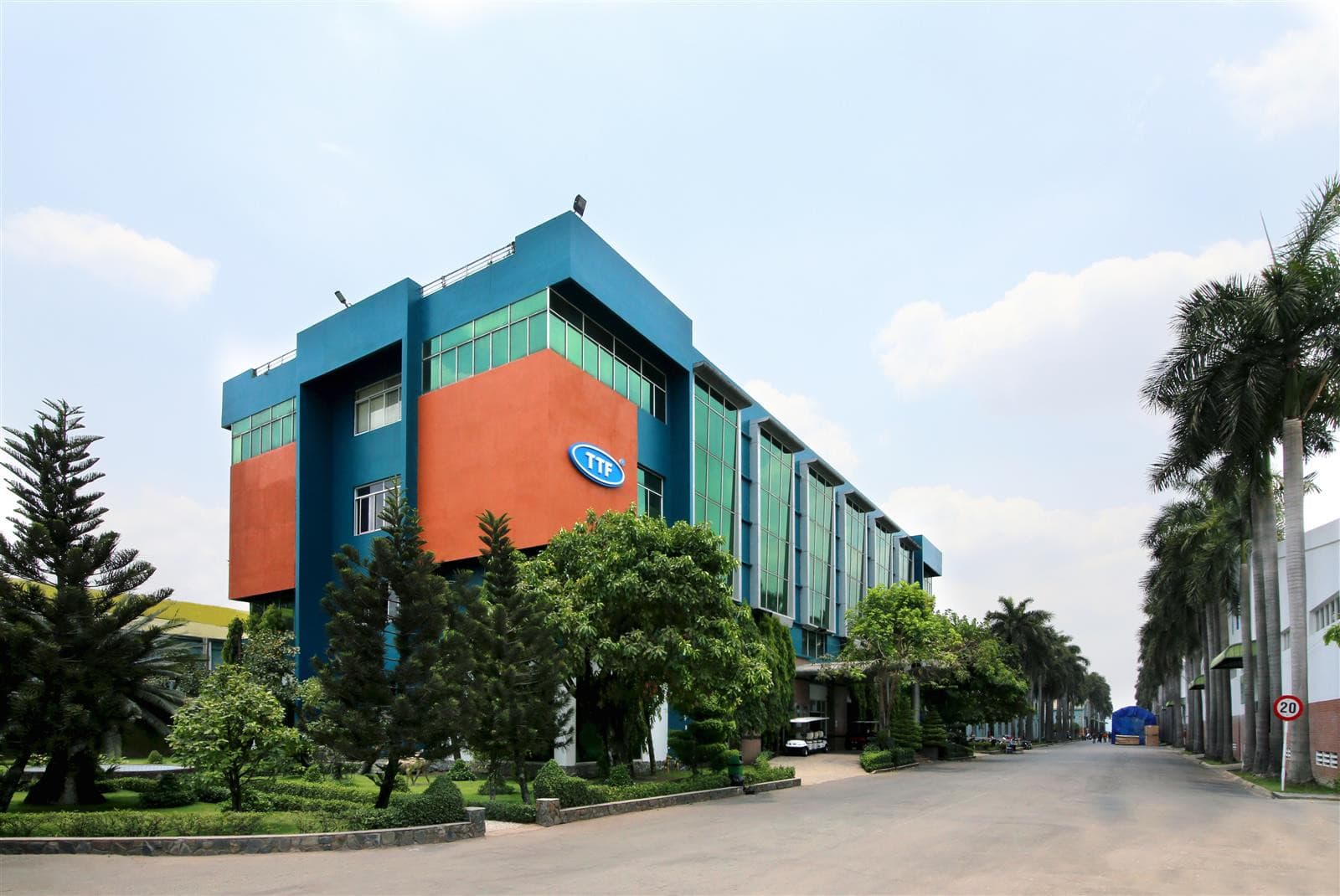 Why did TTF's profits go away following an audit?