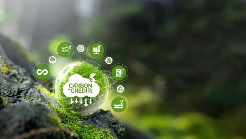 Carbon credit market to benefit exporters: insiders