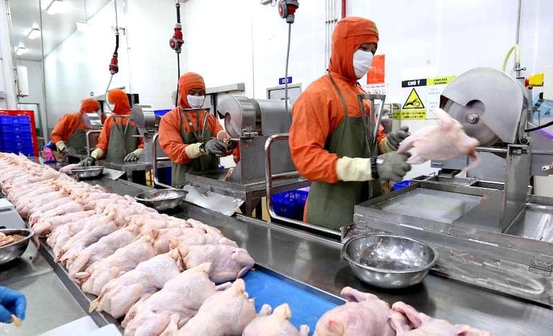 Hanoi's deep processing transformation: Raising agricultural quality and safety