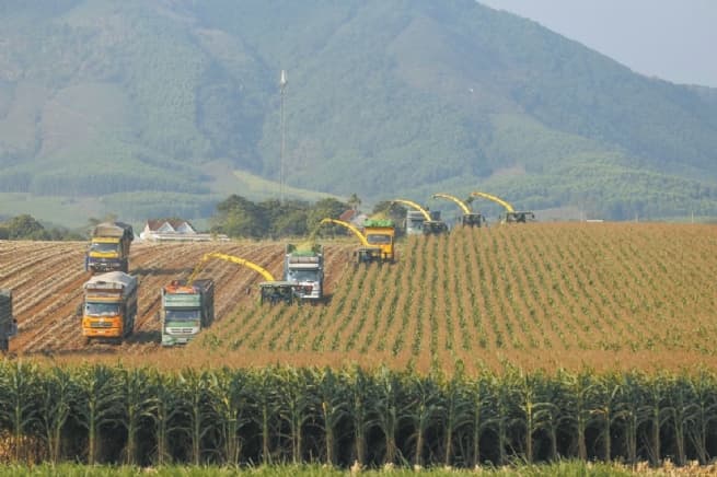 Removing Barriers to Hi-Tech Agriculture Development