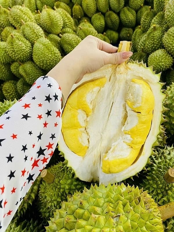 Frozen durian - new growth potential for durian industry