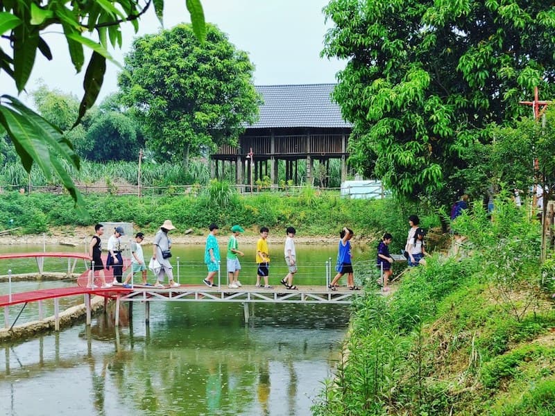 OCOP, ecotourism boost farm incomes in Hanoi