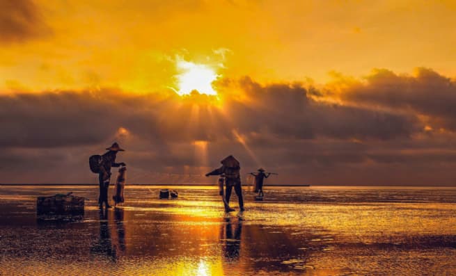 Thai Binh Developed into Attractive Tourist Destination