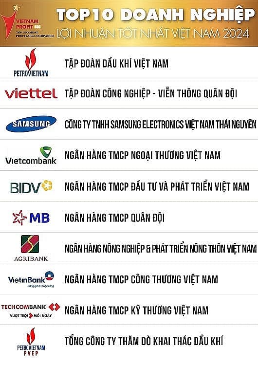 Vietnam's most Profitable Enterprises in 2024: Many Indicators Significantly Improved