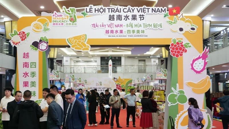 First Vietnam fruit festival opens in China