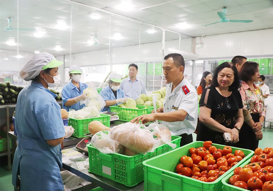 Hanoi intensifies check of agricultural and food quality
