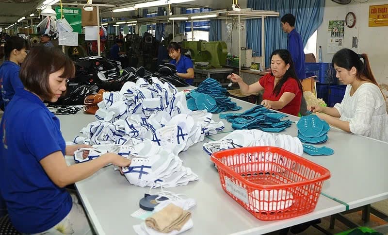 Raw material hub for textile and footwear sector