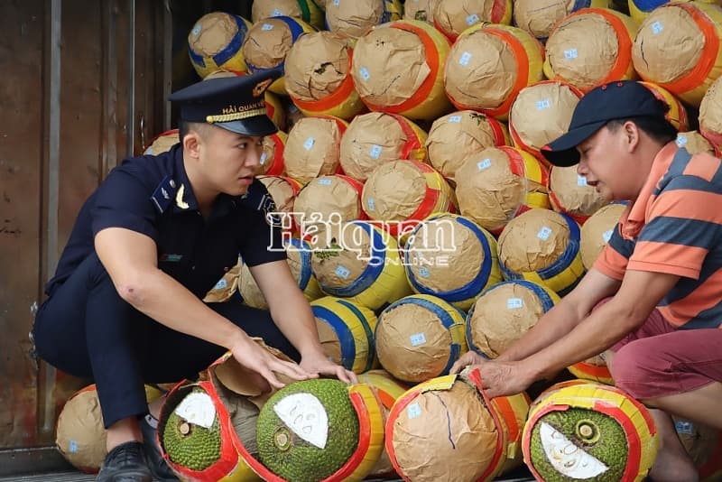 Cao Bang Customs processes nearly 8,000 import-export declarations