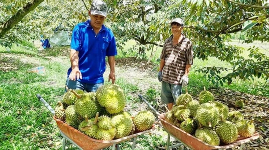 Diversification, innovation boost Vietnam’s agricultural exports