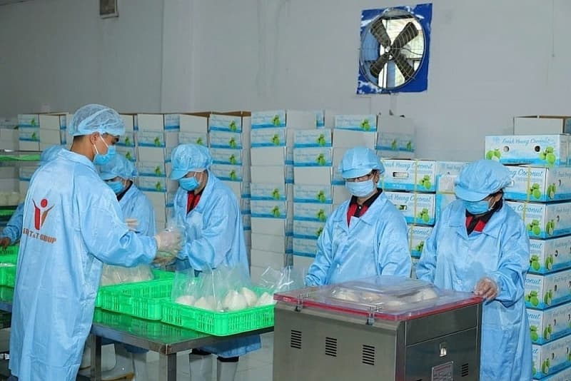 To successfully export fresh coconuts to China