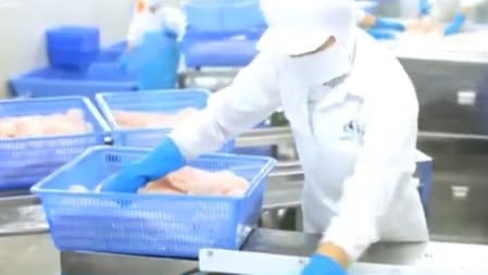 Vietnam’s fishery exports expected to hit 10 billion USD in 2024