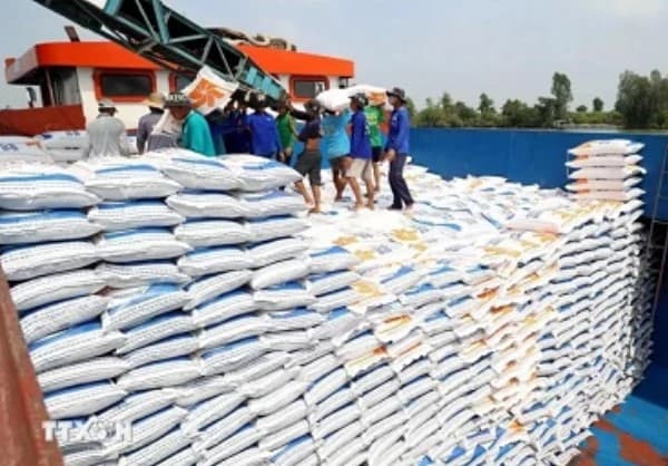 Indian expert suggests tips for Vietnam to boost rice exports