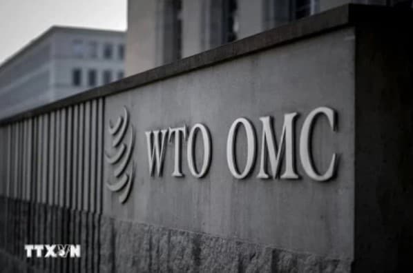 WTO highlights Vietnam in restructuring of global supply chains: Global Trade Outlook and Statistics