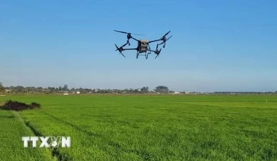 Digital transformation in agriculture faces several barriers