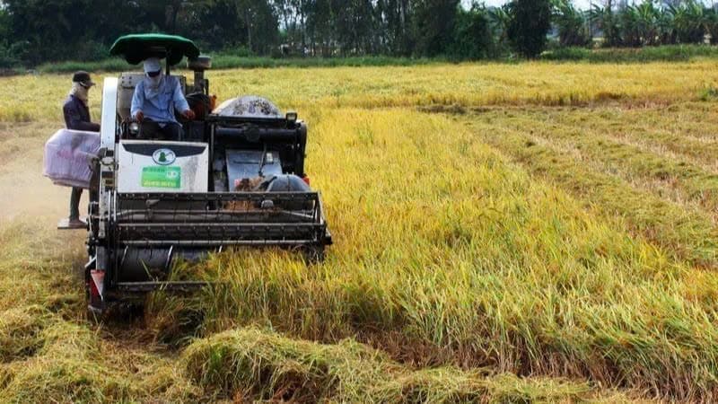 Increasing investment in high-quality, low-emission rice production