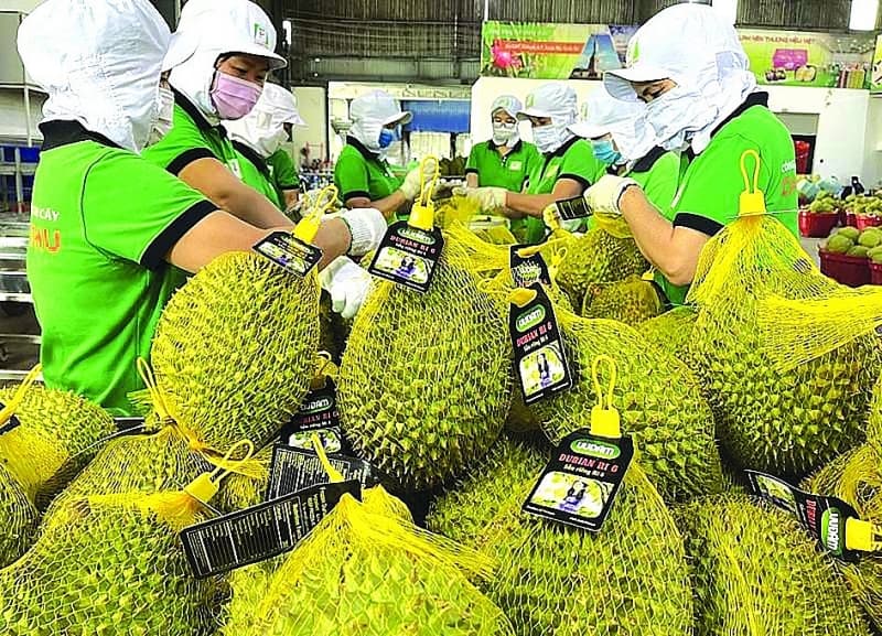 Linkage - the "key" to sustainable development of agricultural value chains
