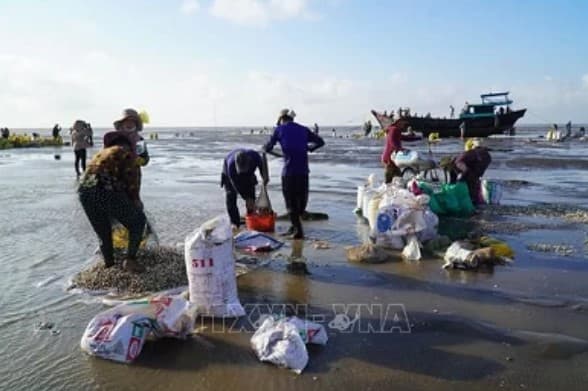Ben Tre Province calls on investors to its coastal areas