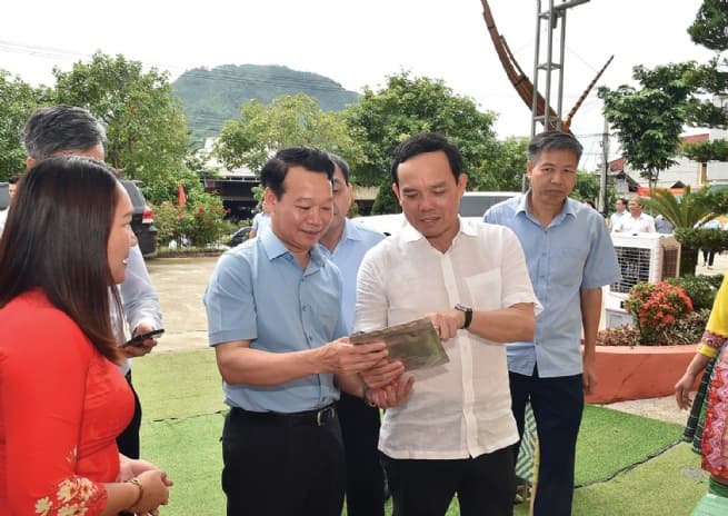Dedicated government, devoted businesses for Yen Bai's sustainable development