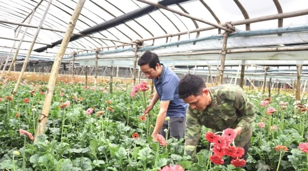 Boosting production and consumption of OCOP products