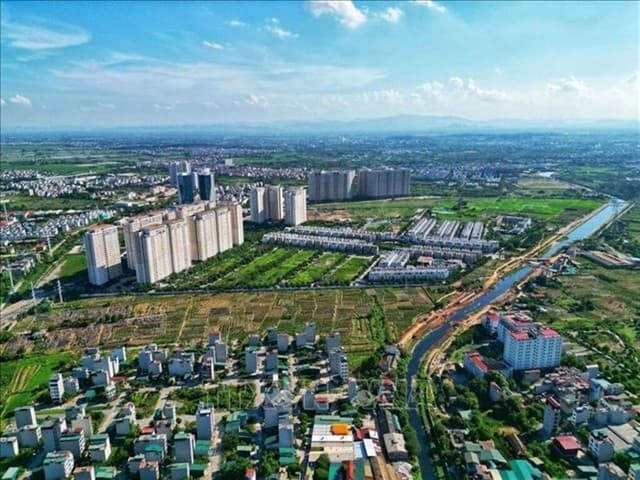 Land auctions fetch higher prices in new capital city's districts