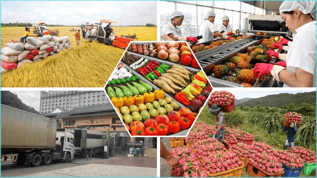 Agro-forestry-aquatic exports hit over US$51.7 bln in 10 months