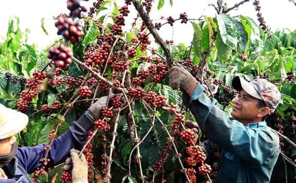 Agricultural exports likely to exceed 60 billion USD amid challenges