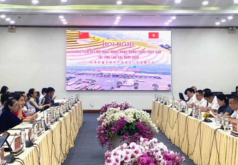 Conference on trade promotion and import and export development held in Lao Cai