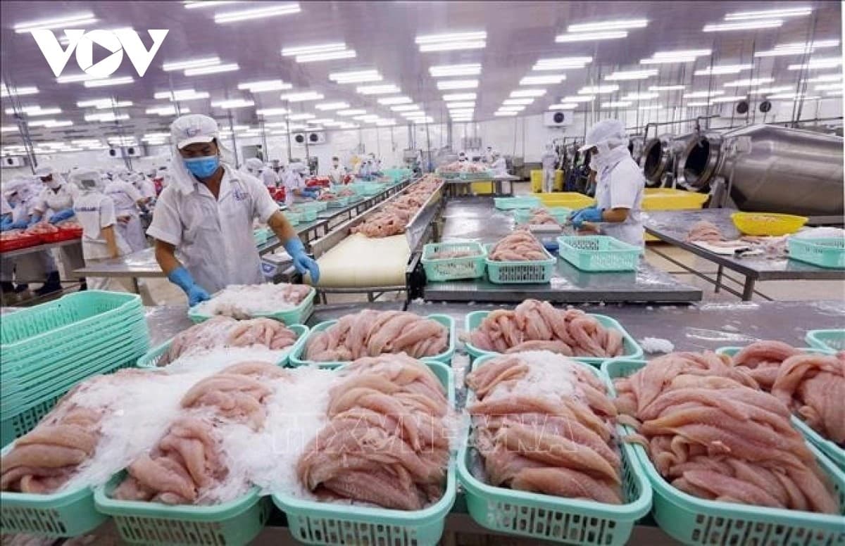 Pangasius exports to Canada see 10% over 10 months