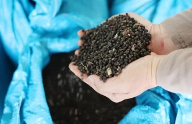 Vietnam's pepper exports raise in value: VPSA