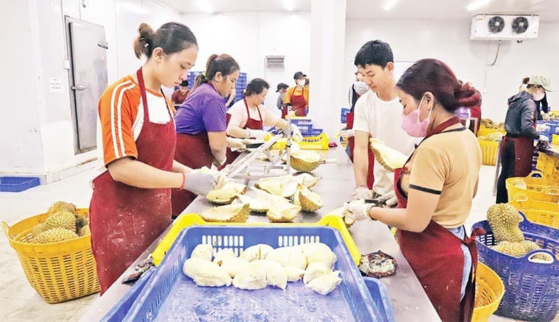 Vietnam accelerates year-end agricultural exports