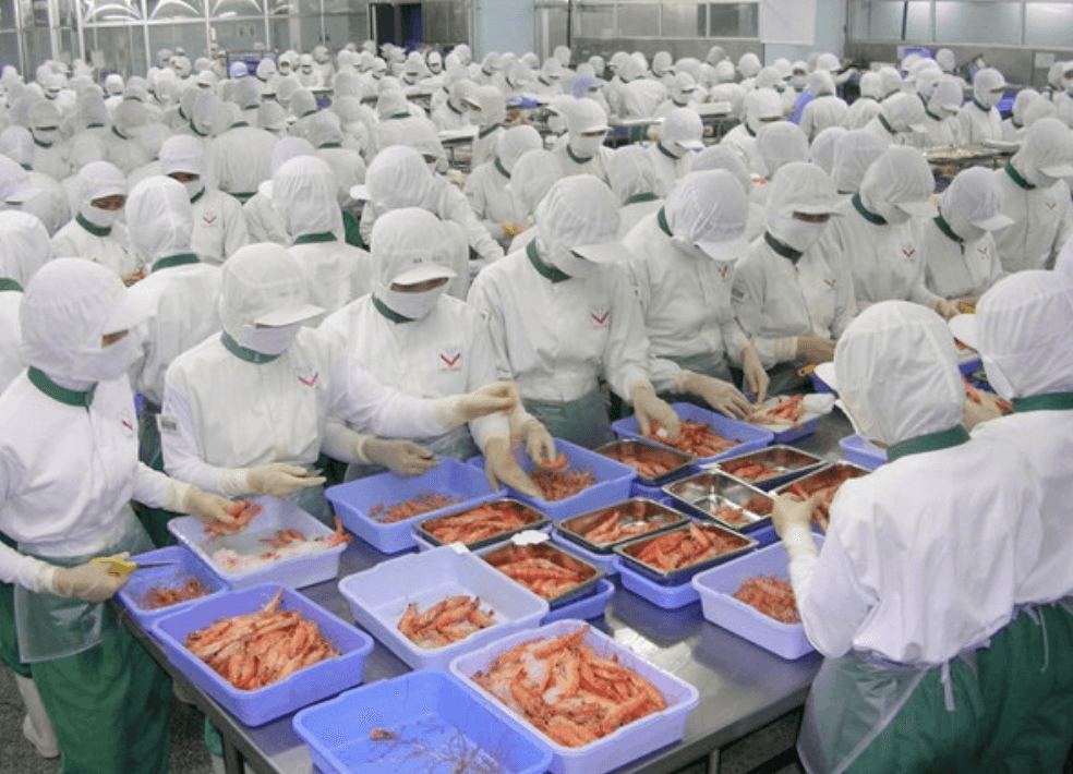 US remains Vietnam’s largest seafood export market