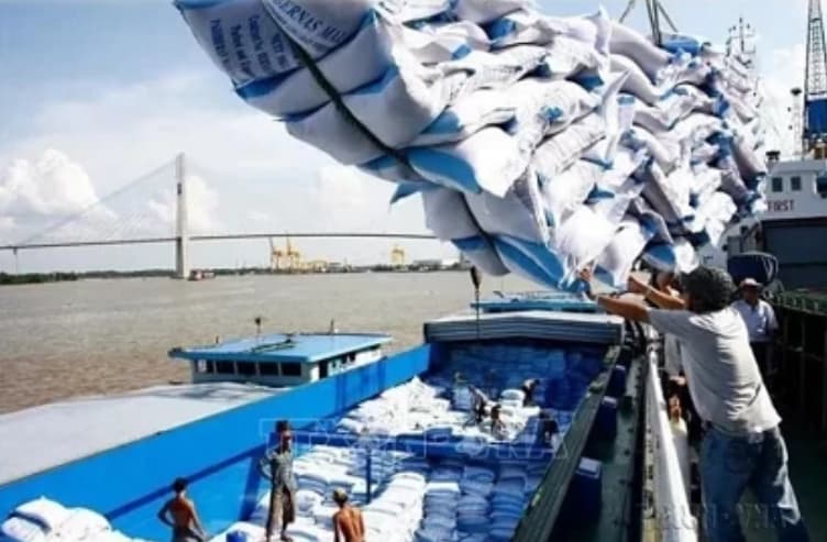Vietnam to set new record in rice exports in 2024 despite challenges