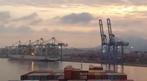 Ample room for Vietnamese goods to win Trans-Pacific Partnership markets