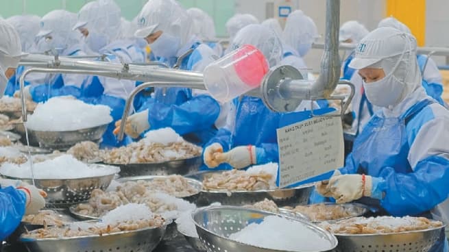 Enhancing Adaptability of Vietnamese Enterprises in US Market