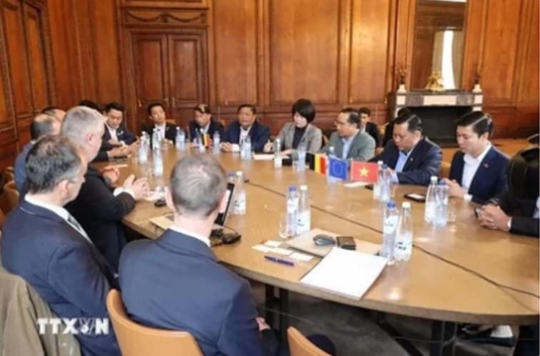 Long An finds cooperation opportunities with Belgium in renewable energy