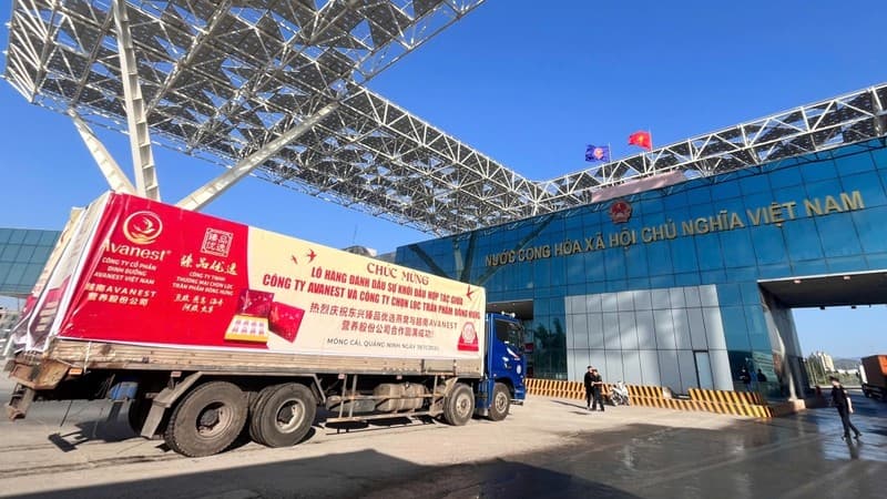 Quang Ninh exports first shipment of bird’s nests to China