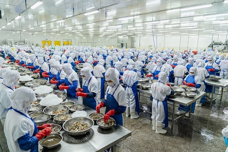 Why seafood exports to some Middle Eastern Countries are stalled