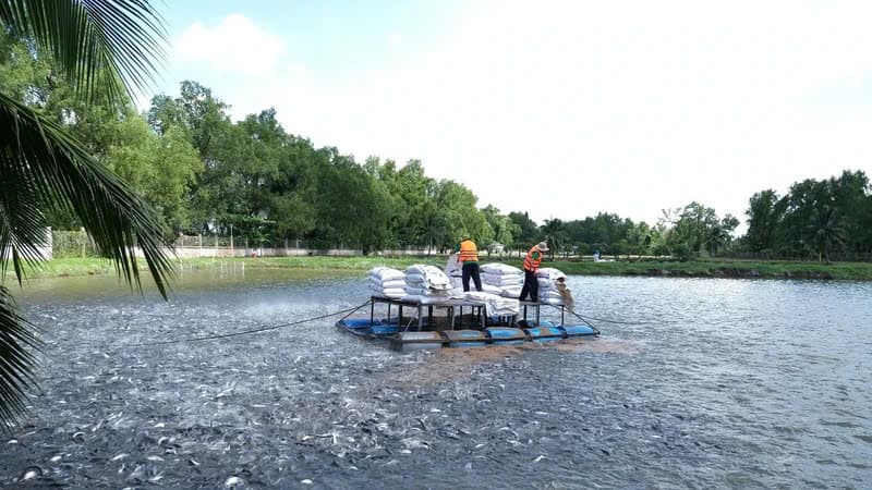 Promoting credit for key agricultural sectors in Mekong Delta