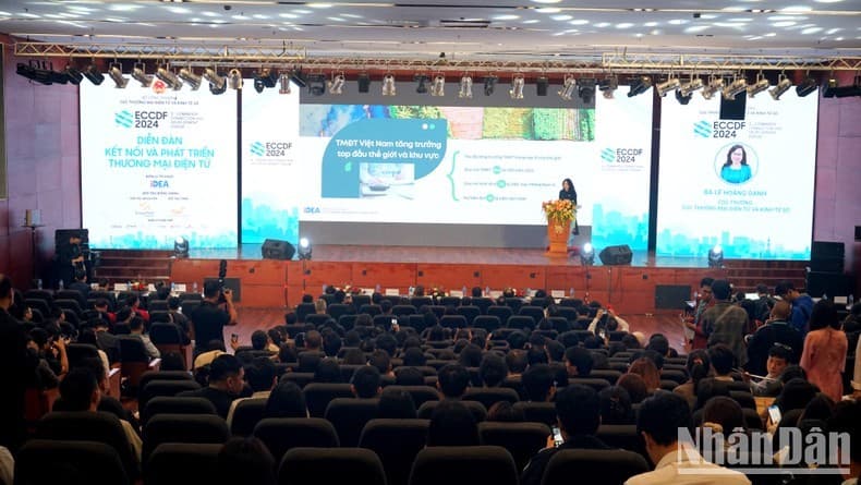 Cross-border e-commerce expands market for Vietnamese goods: experts
