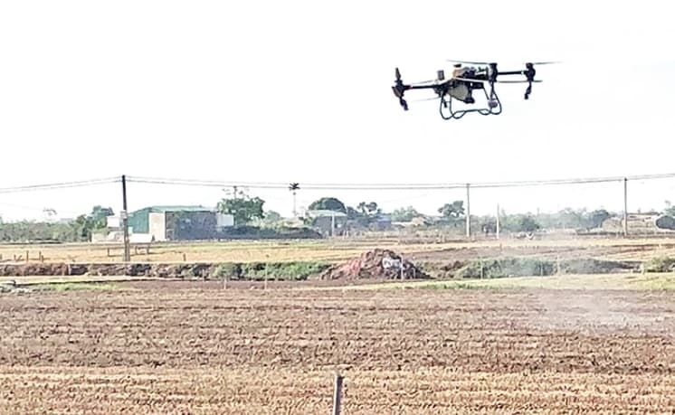 Digital transformation in agriculture